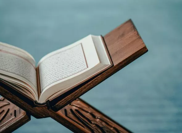 pexels-oznur-taskan-172633297-16126230